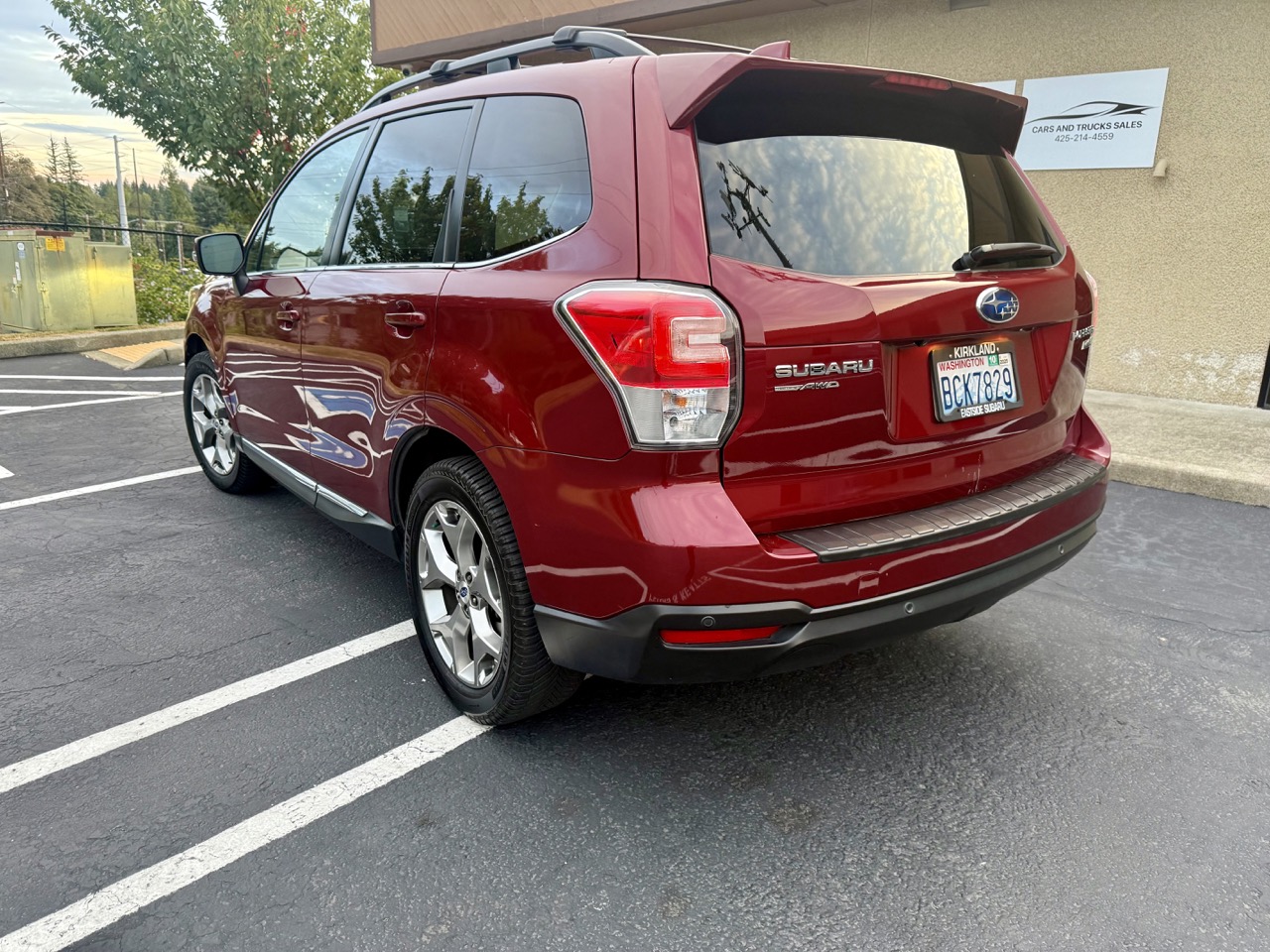 Forester 6